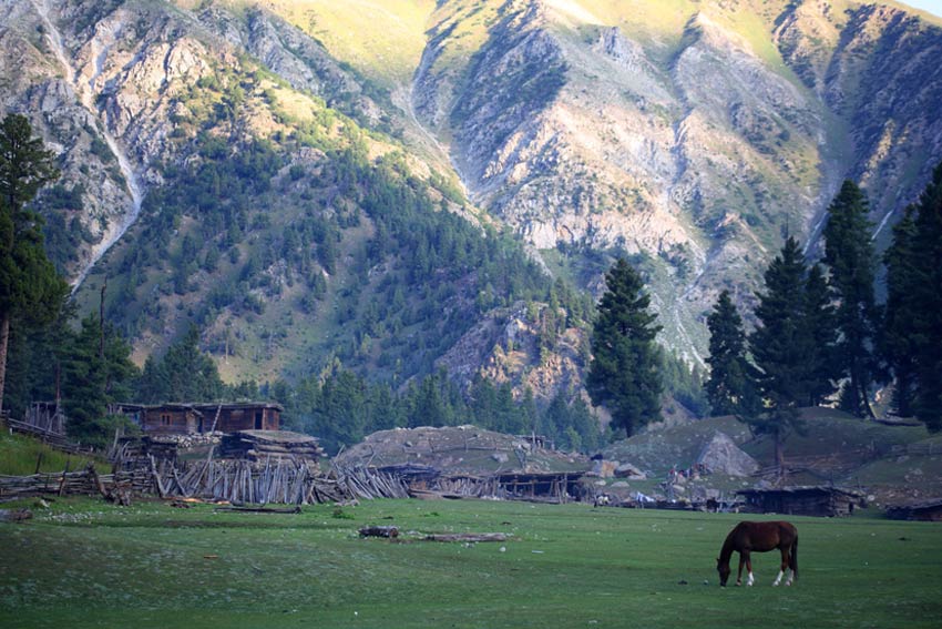 Fairy Meadows in Nanga Parbat