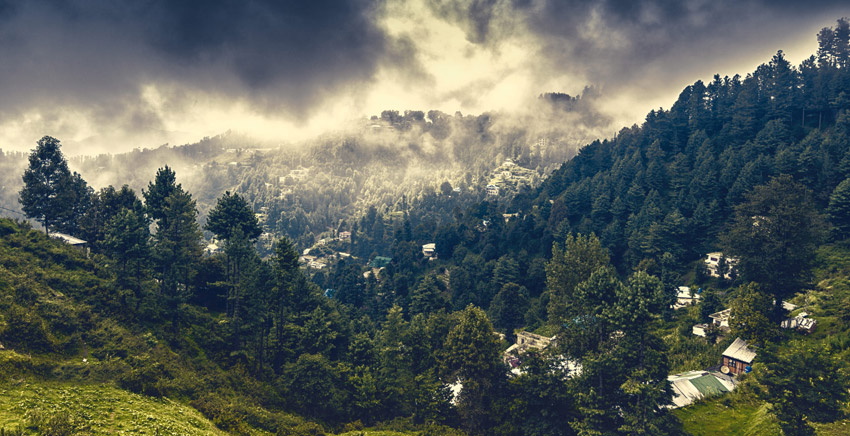 forest in gilgit Pakistan