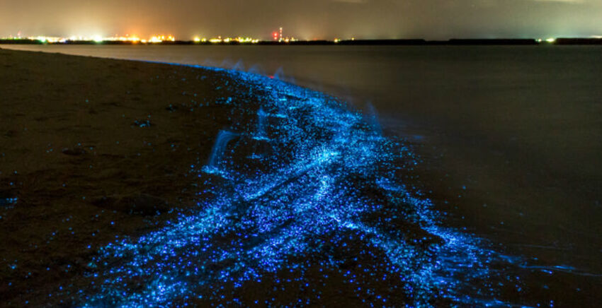 Glowing Beach