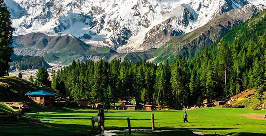 Nanga-Parbat-Fairy-Meadows