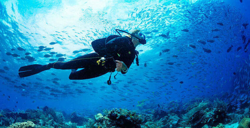 Scuba Diving